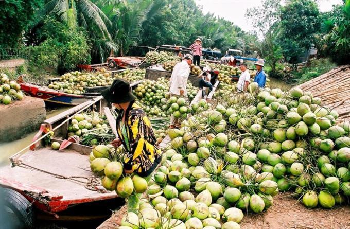 شقة Le Mekong Bleu Ben Tre المظهر الخارجي الصورة